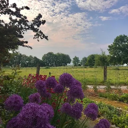 Zweinig02 * Rosswein