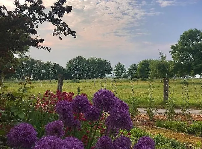 Zweinig02 * Rosswein