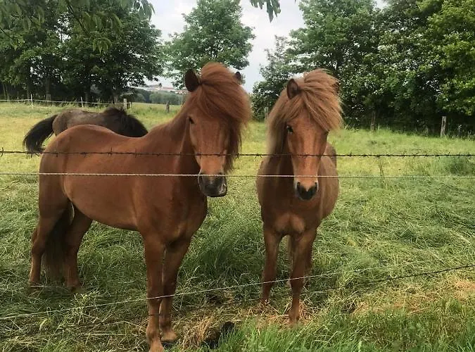 Zweinig02 Apartament *