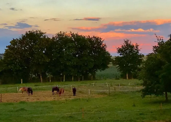 Apartament Zweinig02 Rosswein